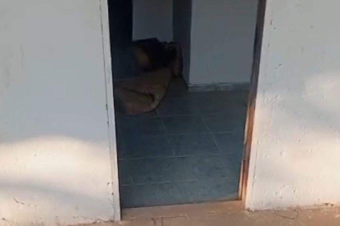 Crime ocorreu em uma chácara de Planaltina - (crédito: Material cedido ao Correio)