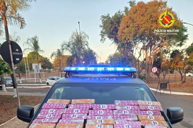 O cão policial Paçoca sinalizou duas malas suspeitas na plataforma de embarque - (crédito: Reprodução/PMDF) O cão policial Paçoca sinalizou duas malas suspeitas na plataforma de embarque - (crédito: Reprodução/PMDF)