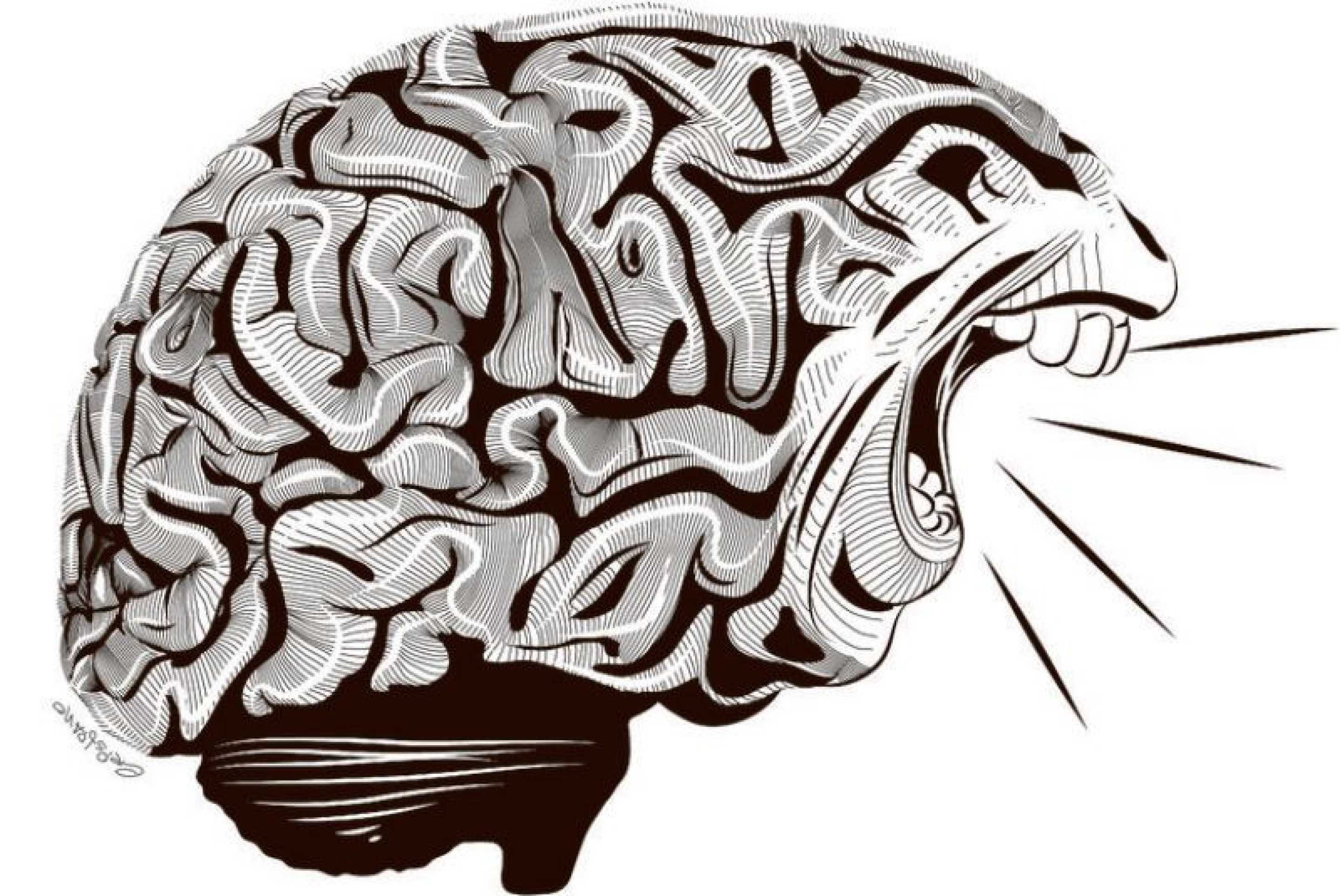 Opiniões impopulares