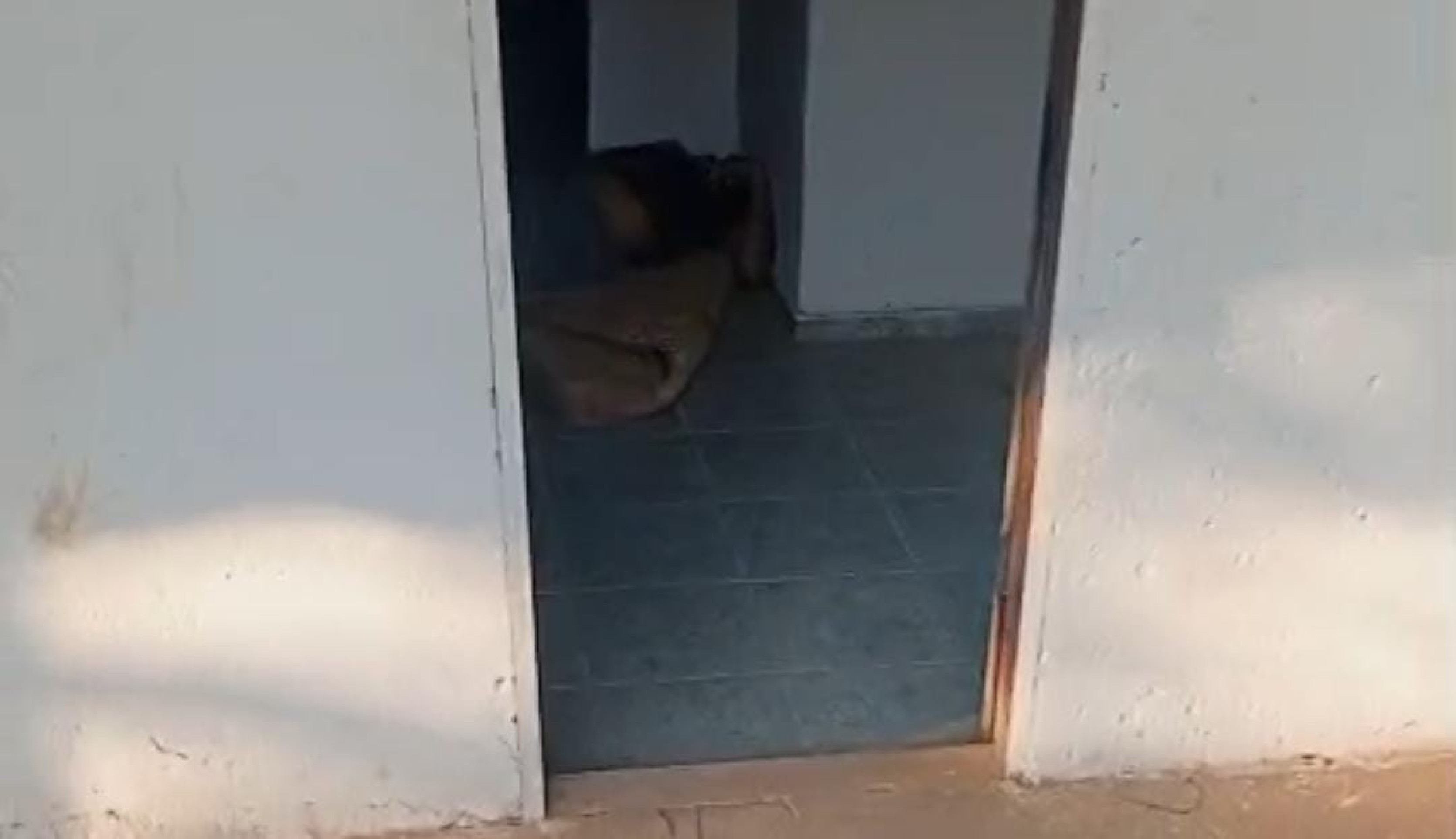 Menina de 6 anos passou a madrugada ao lado do pai morto em emboscada da ex