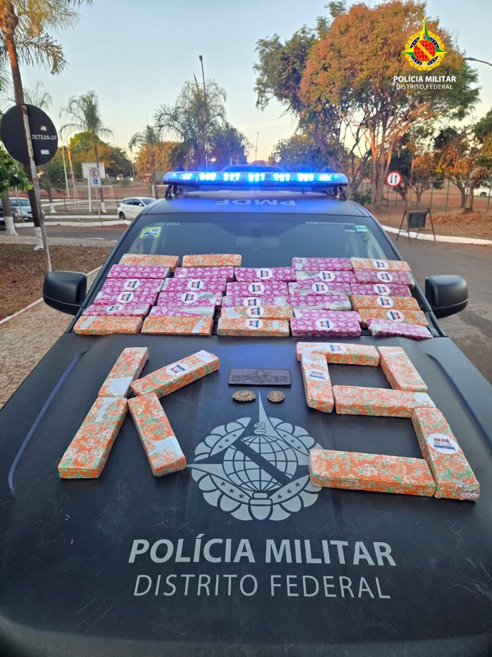 PMDF apreende 39 tabletes de maconha na Rodoviária Interestadual de Brasília