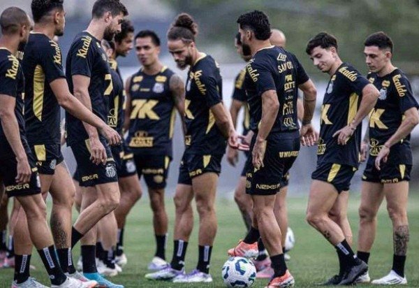 Foto: Raul Baretta/Santos FC