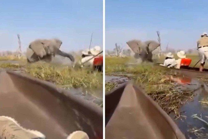 Elefante perseguiu grupo de turistas em safari -  (crédito: Reprodução / redes sociais)