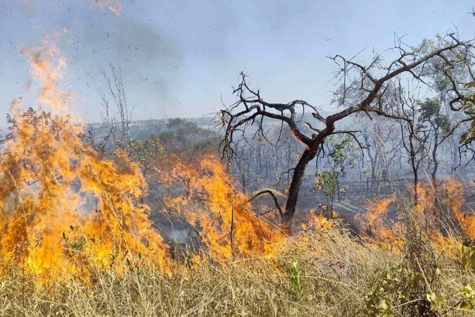 Incêndio de grandes proporções atingiu a região do Jerivá, no Lago Norte -  (crédito: Ed Alves)