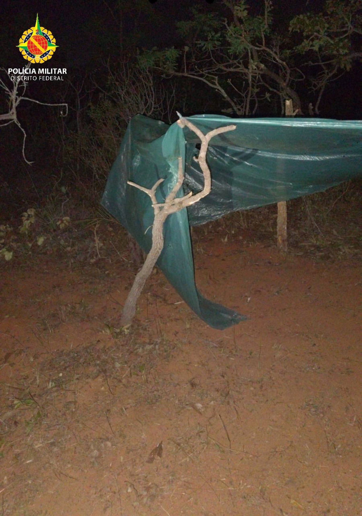 Foi identificado o piquetamento da área e a construção de barracões de lona no local