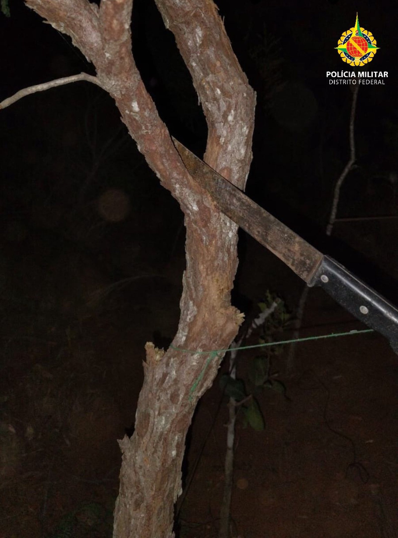 O grupo  foi flagrado cortando árvores e erguendo barracões de lona em área pertencente à Embrapa Cerrados