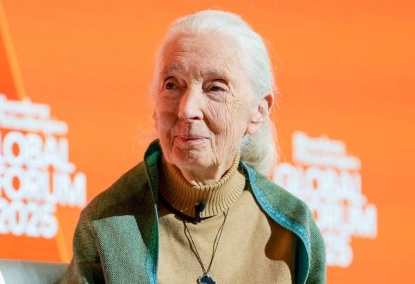 Reprodução/Instagram/@janegoodallinst/Maurizio Martorana for the Wall Street Journal