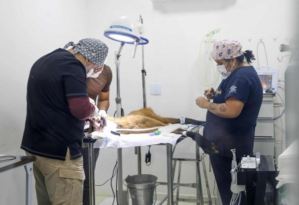 Joel Rodrigues/Agência Brasília