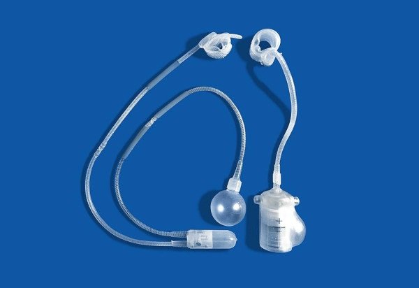 Reprodução/Wikimedia Commons