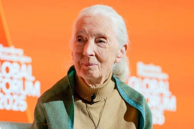 Morre Jane Goodall, bióloga referência em primatas, aos 91 anos