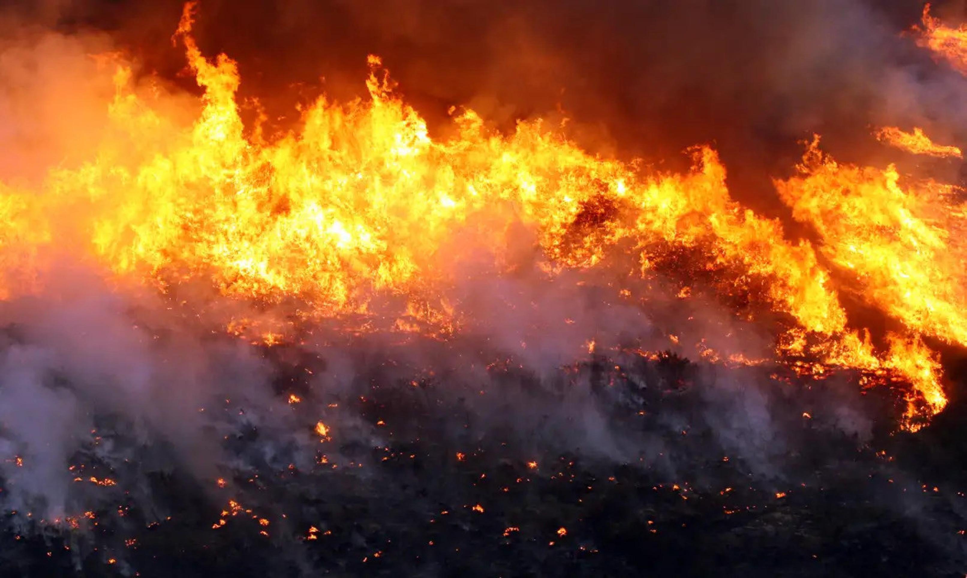 Incêndio consome quase 2 mil hectares da Chapada dos Veadeiros