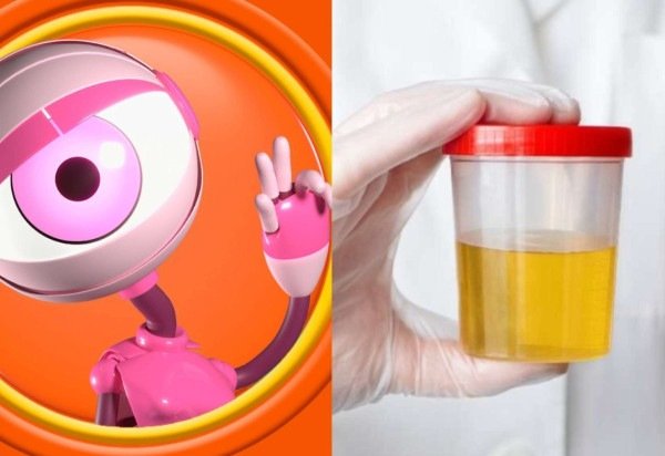 TV Globo/Reprodução