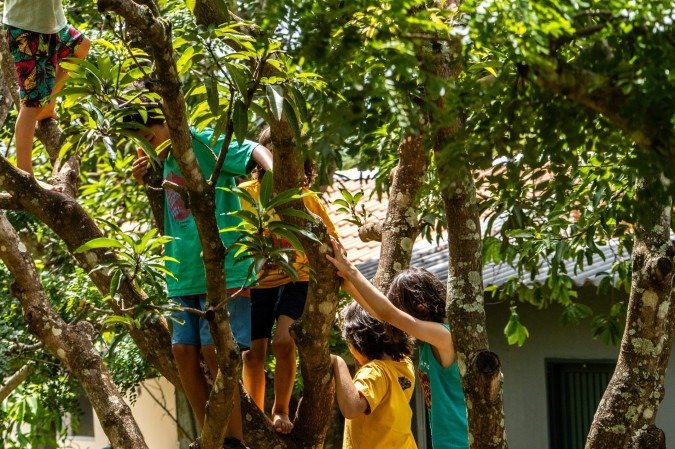 O objetivo do espaço é intensificar a relação das crianças com 
a natureza -  (crédito: Matheus Alves)