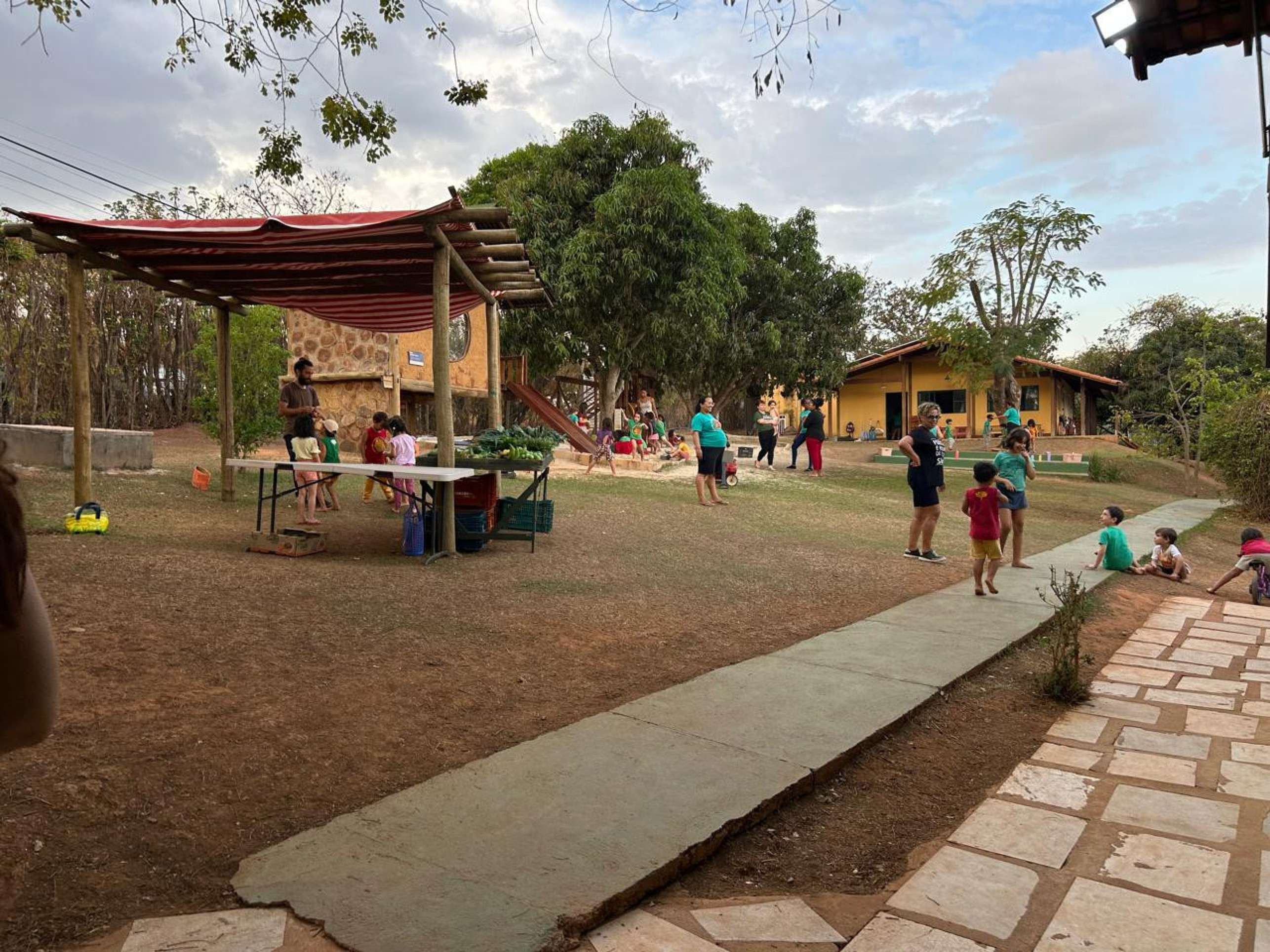  Agrofloresta da Escola da Árvore