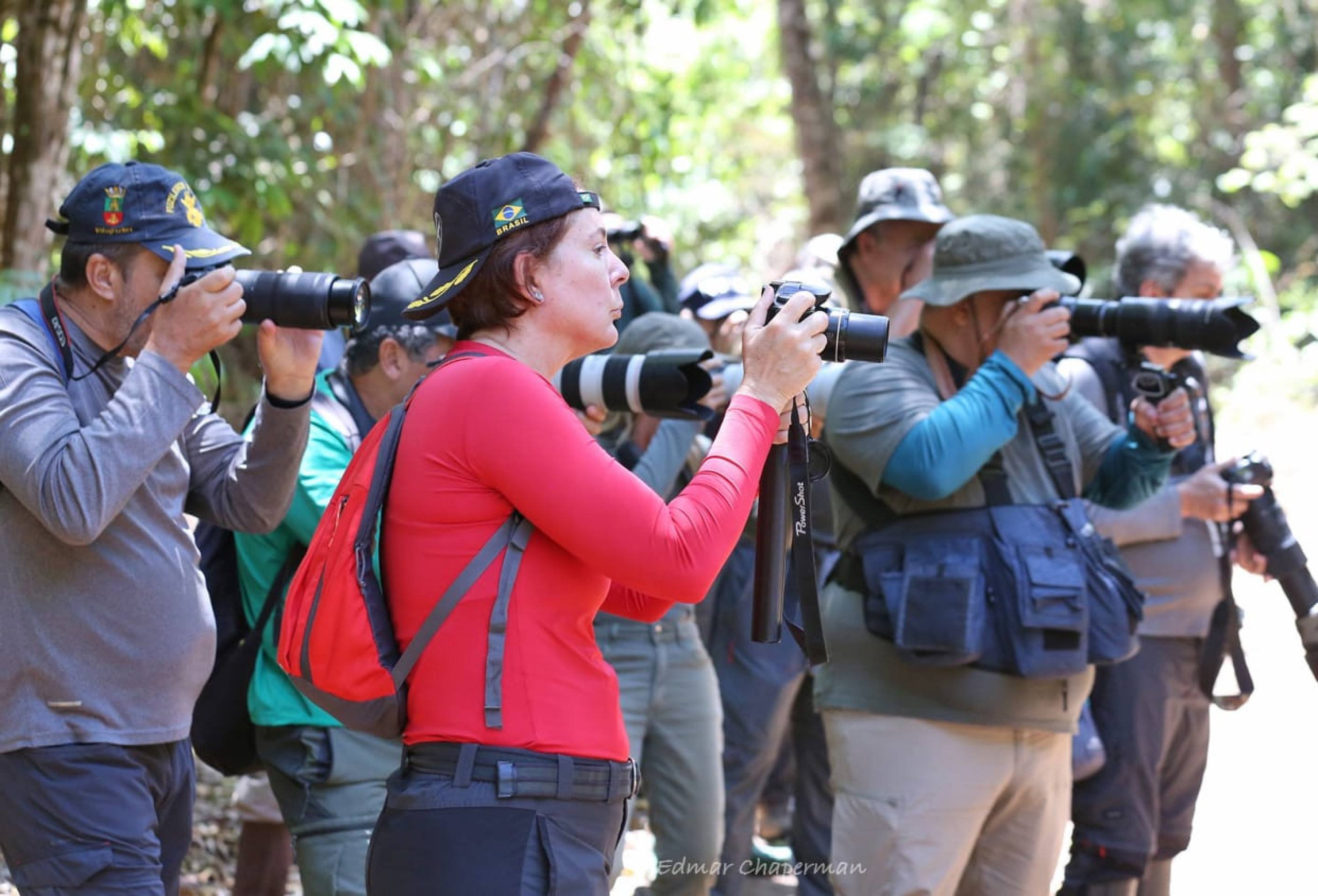Grupo Observaves em excursão fotografando aves