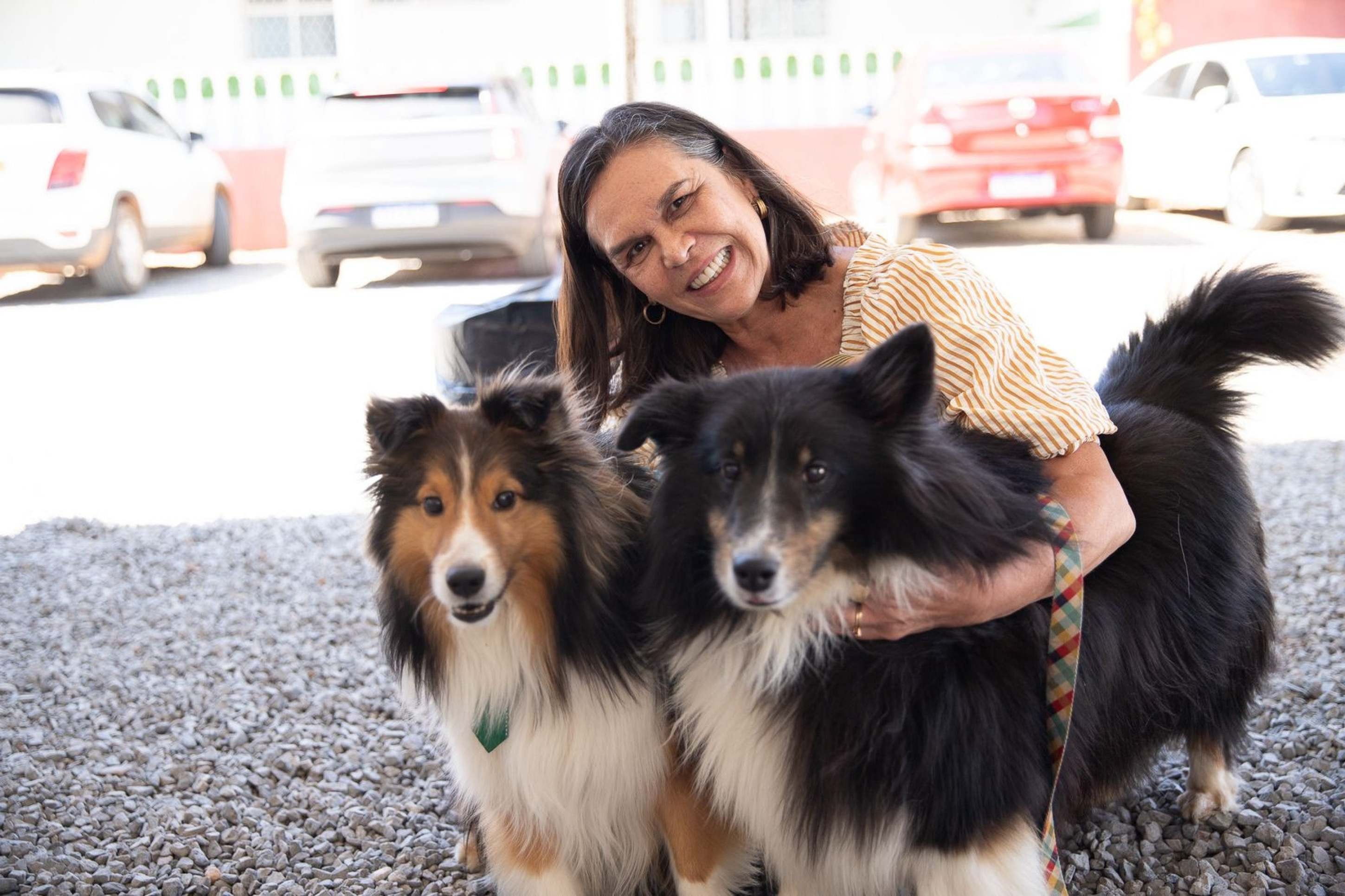 Celsa Pacheco levou os cachorros da filha, Jack e Johnny
