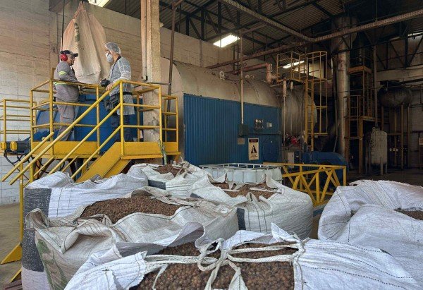 Rafaela Gonçalves/CB/D.A. Press