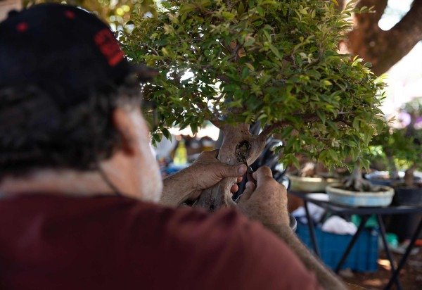 Mariana Campos/CB/D.A Press