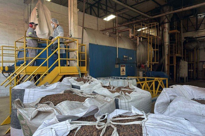 Até mesmo as cinzas da queima dos caroços de açaí nas caldeiras podem ser reaproveitadas na construção civil -  (crédito: Rafaela Gonçalves/CB/D.A. Press)