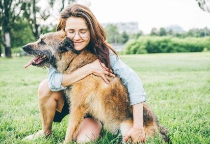 Animais idosos precisam de cuidados especiais (Imagem: Mariia Korneeva | Shutterstock) -  (crédito: EdiCase) -Animais idosos precisam de cuidados especiais (Imagem: Mariia Korneeva | Shutterstock) -  (crédito: EdiCase)