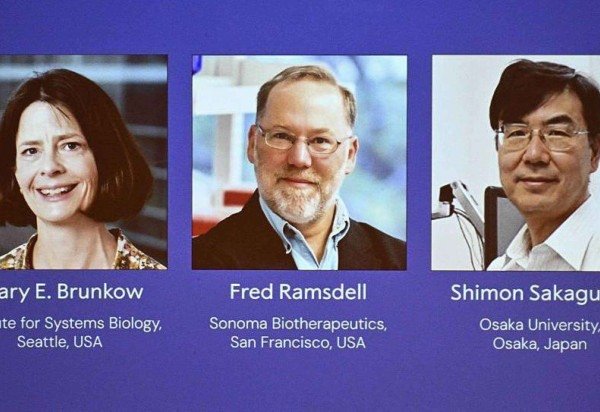 NIH-NIAID/Image Point FR/BSIP/Universal Images Group via Getty Images