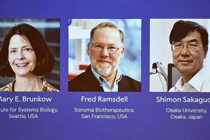 Micrografia eletrônica colorida de uma célula T ou linfócito T -  (crédito: NIH-NIAID/Image Point FR/BSIP/Universal Images Group via Getty Images)