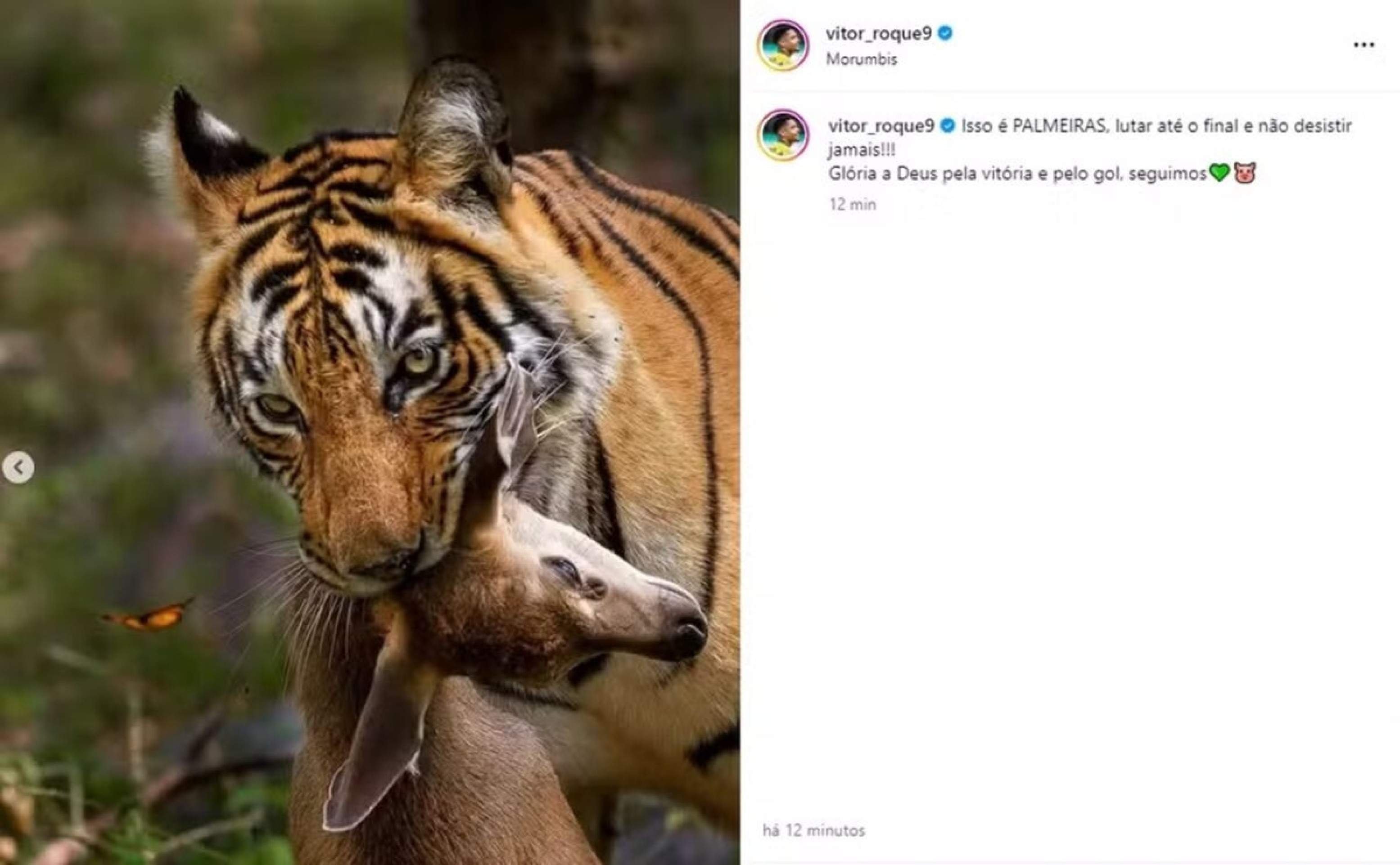 Publicação feita no perfil de Vitor Roque e que logo foi apagada