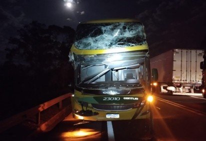 Ônibus destruído depois que árvore caiu sobre veículo na BR-262 -  (crédito: PRF/Reprodução)