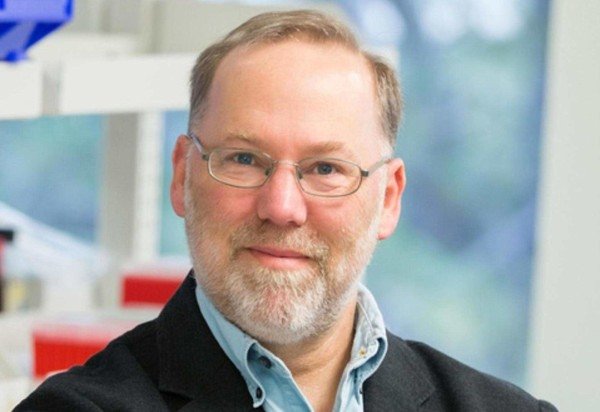 Reprodução/Wikimedia Commons