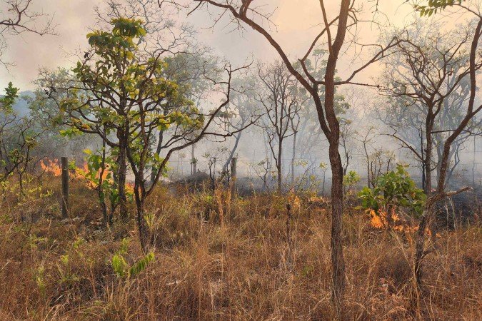 Incêndio na Chapada dos Veadeiros equivale a 107 mil campos de futebol Incêndio na Chapada dos Veadeiros equivale a 107 mil campos de futebol