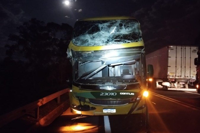Ônibus destruído depois que árvore caiu sobre veículo na BR-262 - (crédito: PRF/Reprodução) Ônibus destruído depois que árvore caiu sobre veículo na BR-262 - (crédito: PRF/Reprodução)