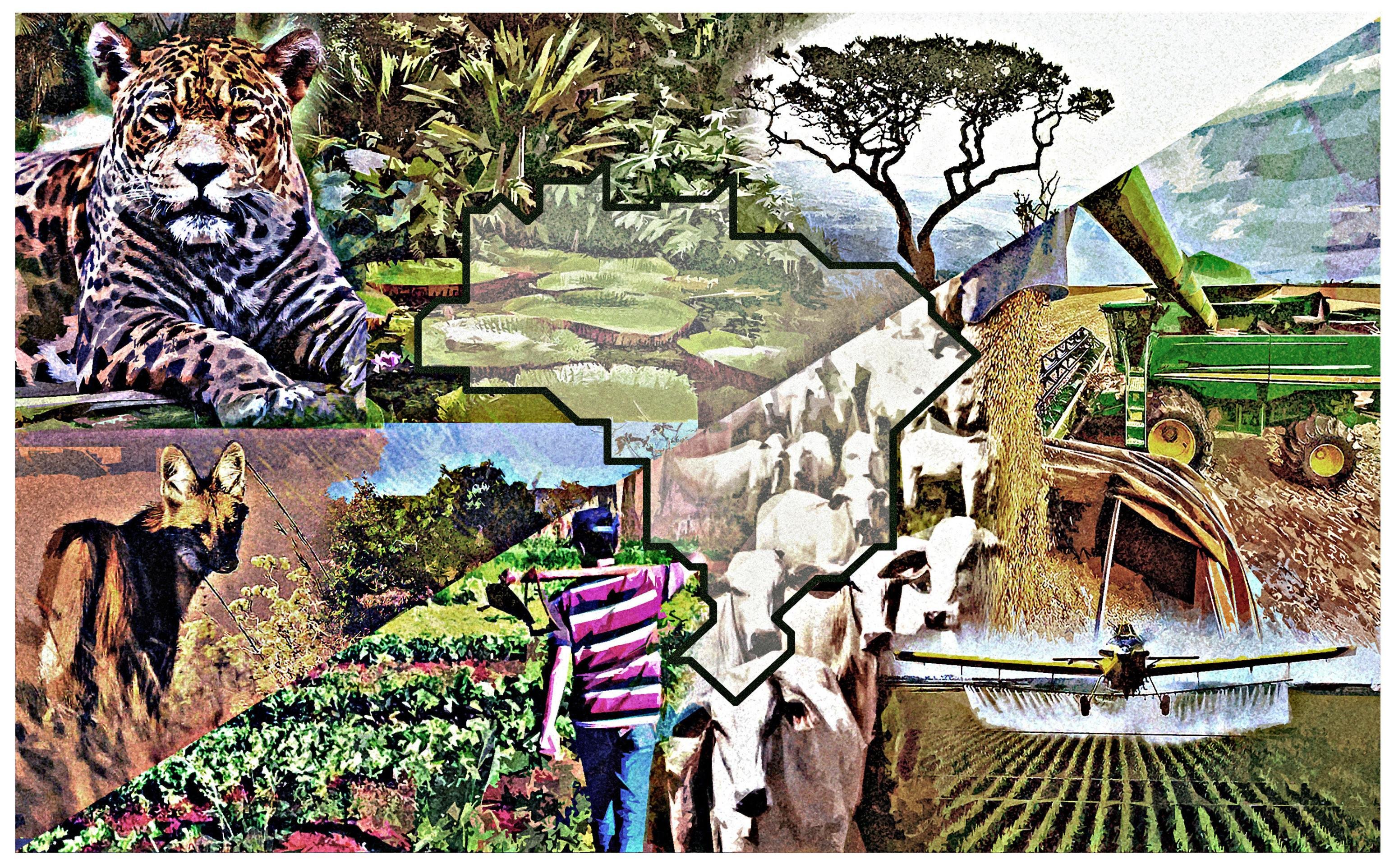 Sistemas alimentares: o futuro da justiça climática passa pelo campo