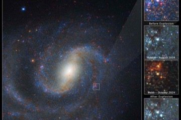 os cientistas puderam atravessar a poeira e ver a estrela escondida, provando que a teoria estava certa: essas estrelas realmente explodem -  (crédito: NASA, ESA, CSA, STScI, Charles Kilpatrick (Northwestern), Aswin Suresh (Northwestern))
