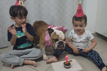 Pietro, Bernardo e Mateus aprenderam sobre cuidado, empatia e responsabilidade