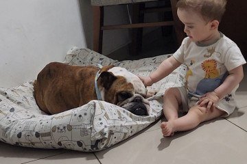 É uma troca de afeto e respeito entre os meninos e Panqueca