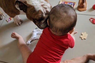 Panqueca participa das brincadeiras