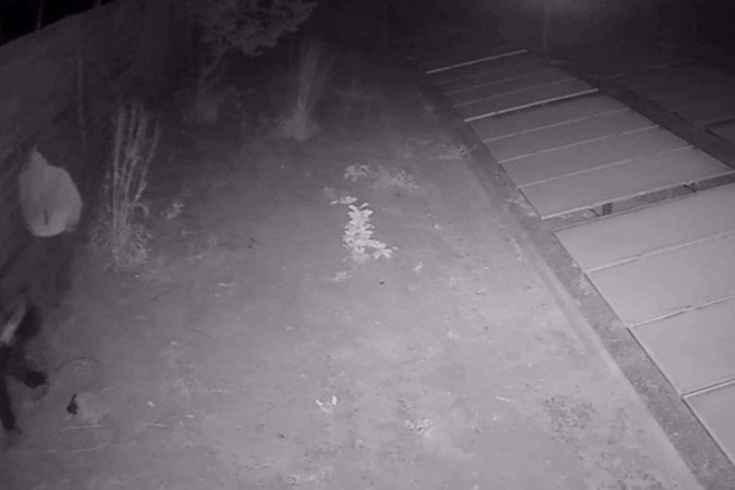 Autores são identificados por furto em usina fotovoltaica -  (crédito: PCDF/DivulgaÃ§Ã£o)