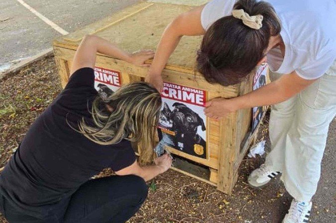 Polícia Civil e protetores instalam casinhas para cães e gatos comunitários em Ceilândia -  (crédito: PCDF/Divulgação)