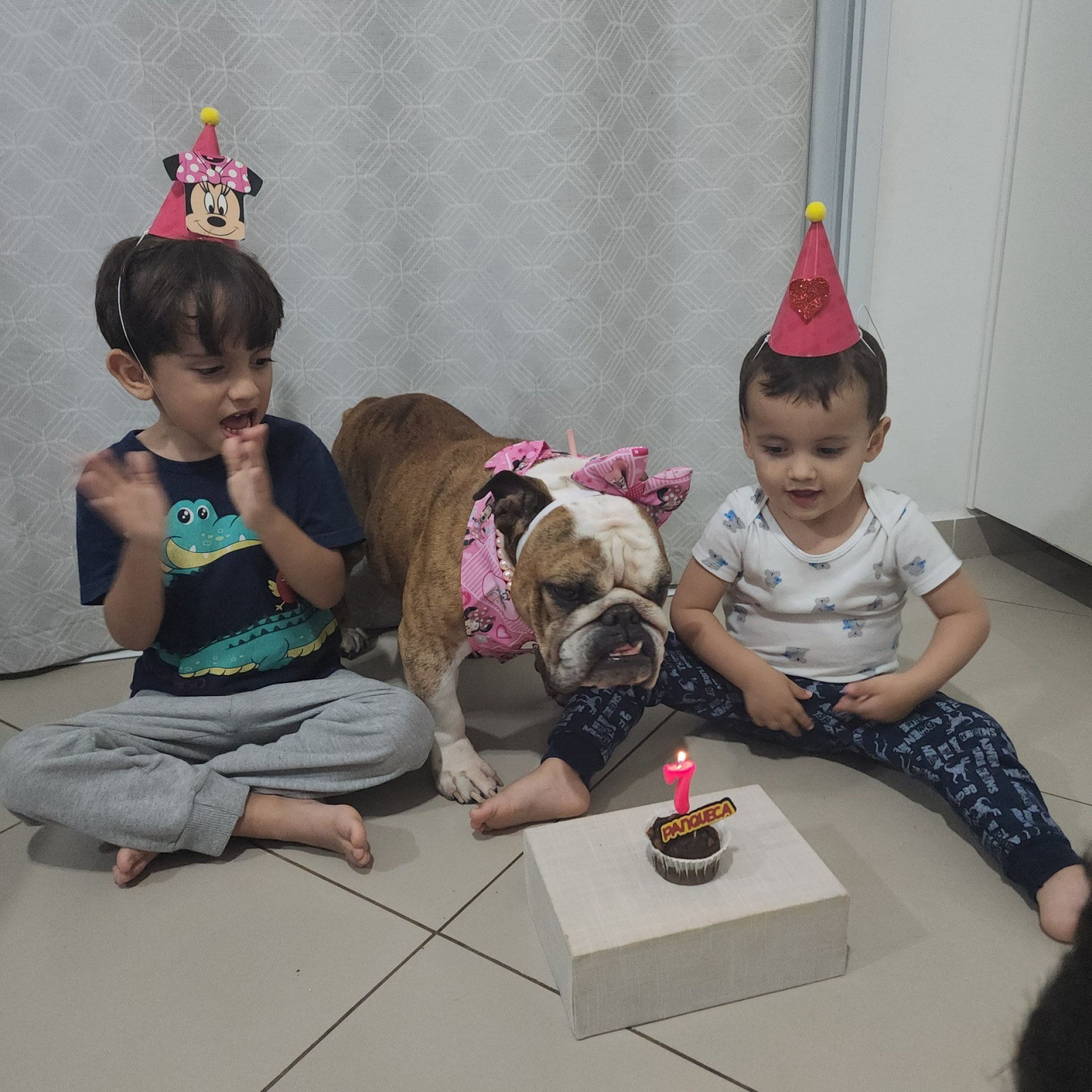 Pietro, Bernardo e Mateus aprenderam sobre cuidado, empatia e responsabilidade