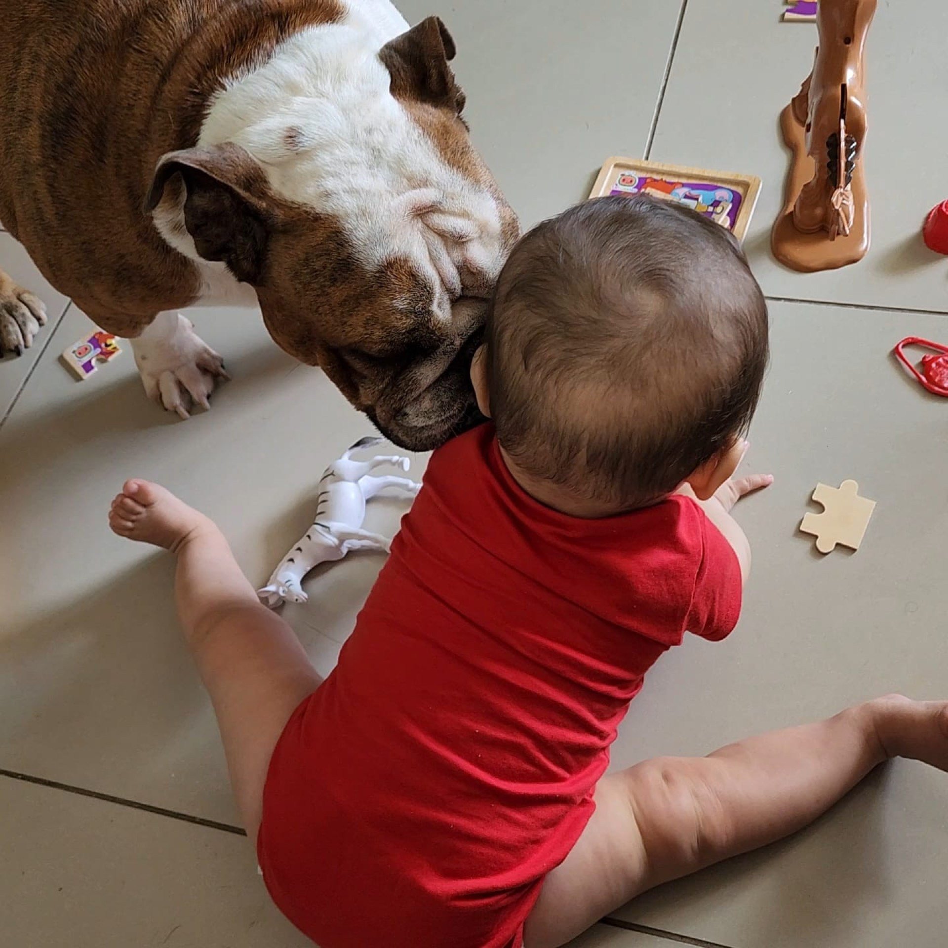 Panqueca participa das brincadeiras