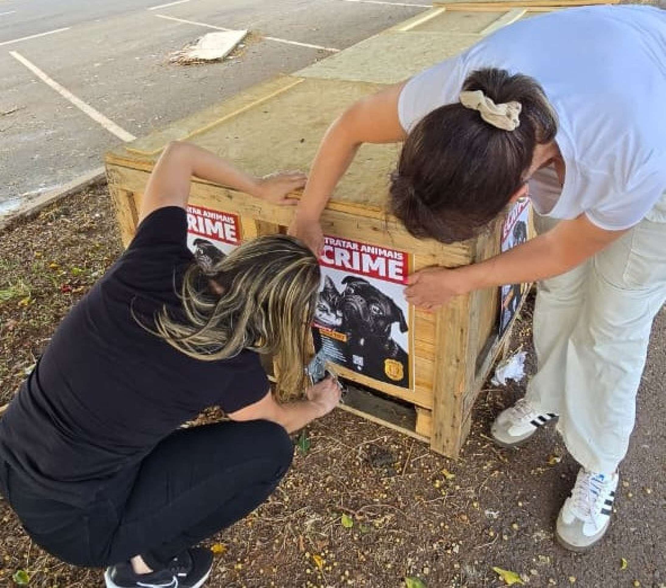 PCDF e protetores instalam casinhas para cães e gatos de rua