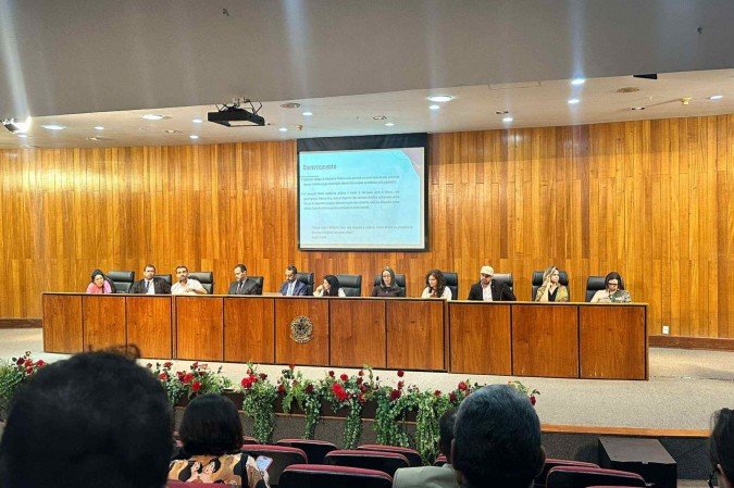 Ministério Público tem audiência pública sobre violência policial
 -  (crédito: Mila Ferreira/CB)