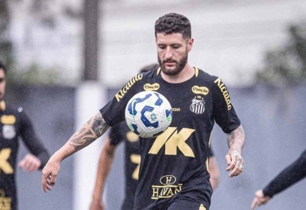 Foto: Raul Baretta/Santos FC