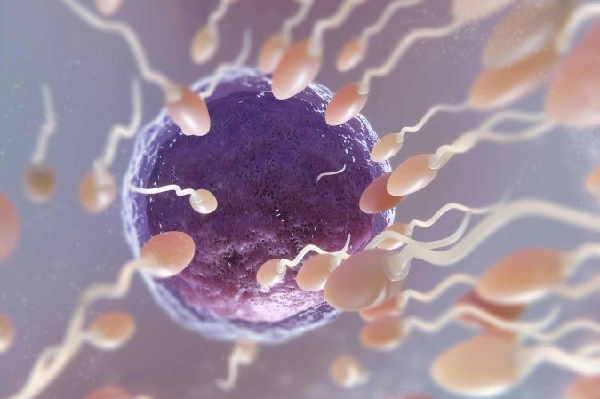 Antes da ejaculação, os espermatozoides repousam em um estado de baixa energia -  (crédito: Reprodução/Freepik)