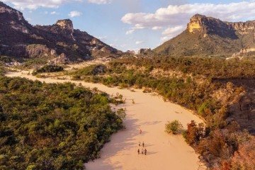 O texto reforça que 'sem Cerrado não há estabilidade climática nem economia resiliente' - (crédito: divulgação/ lucas ninno) O texto reforça que 'sem Cerrado não há estabilidade climática nem economia resiliente' - (crédito: divulgação/ lucas ninno)