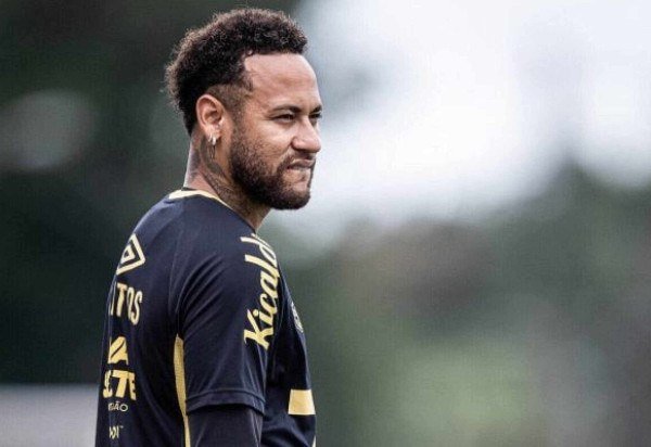 Foto: Raul Baretta/ Santos FC