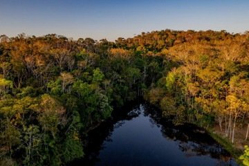 A área desmatada em 2025 na região foi a menor registrada nos últimos 11 anos - (crédito: Jacqueline Lisboa / WWF - Brasil) A área desmatada em 2025 na região foi a menor registrada nos últimos 11 anos - (crédito: Jacqueline Lisboa / WWF - Brasil)