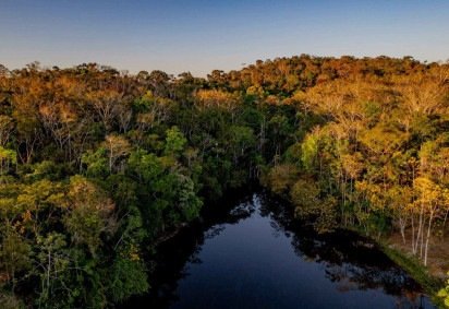 A área desmatada em 2025 na região foi a menor registrada nos últimos 11 anos -  (crédito: Jacqueline Lisboa / WWF - Brasil) -A área desmatada em 2025 na região foi a menor registrada nos últimos 11 anos -  (crédito: Jacqueline Lisboa / WWF - Brasil)