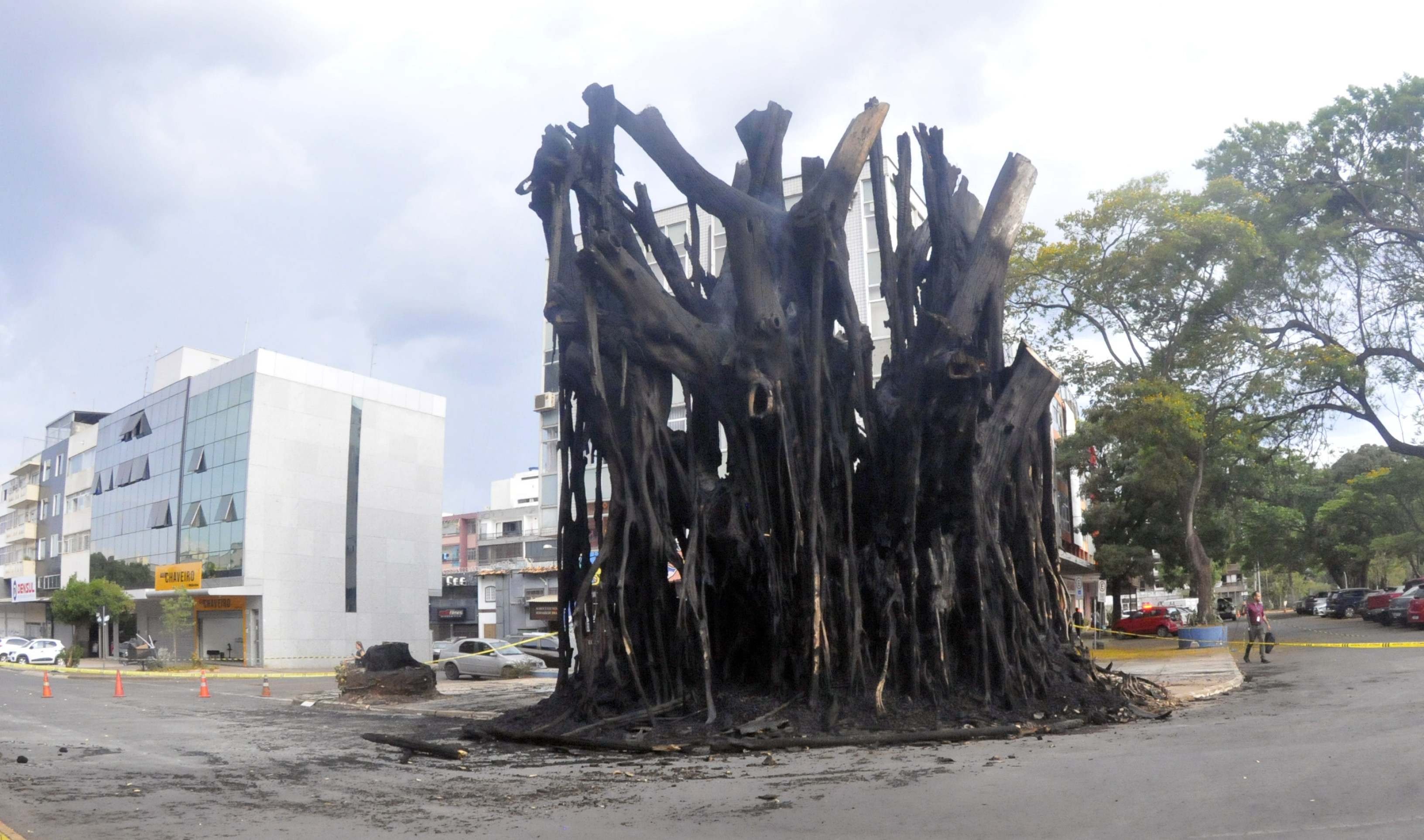 Gameleira da 704/705 Norte: vídeo reforça suspeita de incêndio criminoso