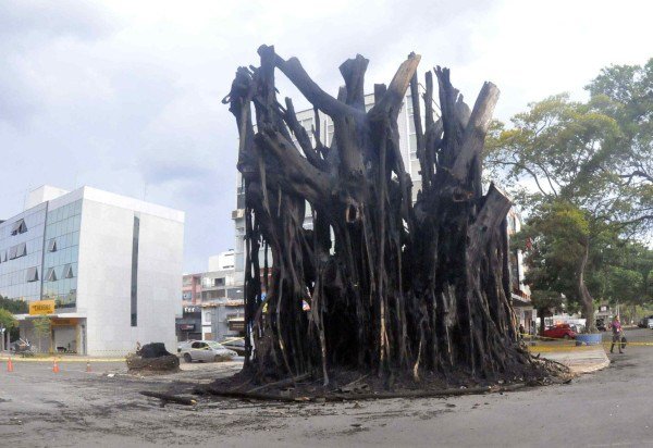 Ed Alves/CB/D.A Press